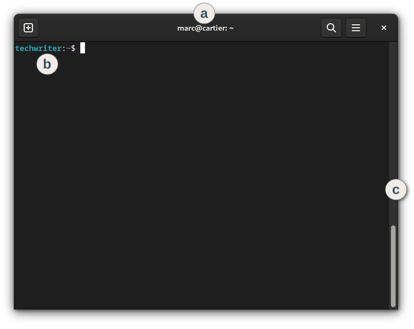 Screenshot of the GNOME Terminal app